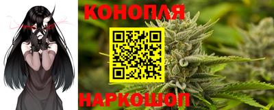 прущие крисы Можга