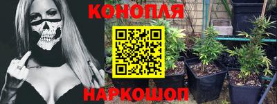 стафф Моздок