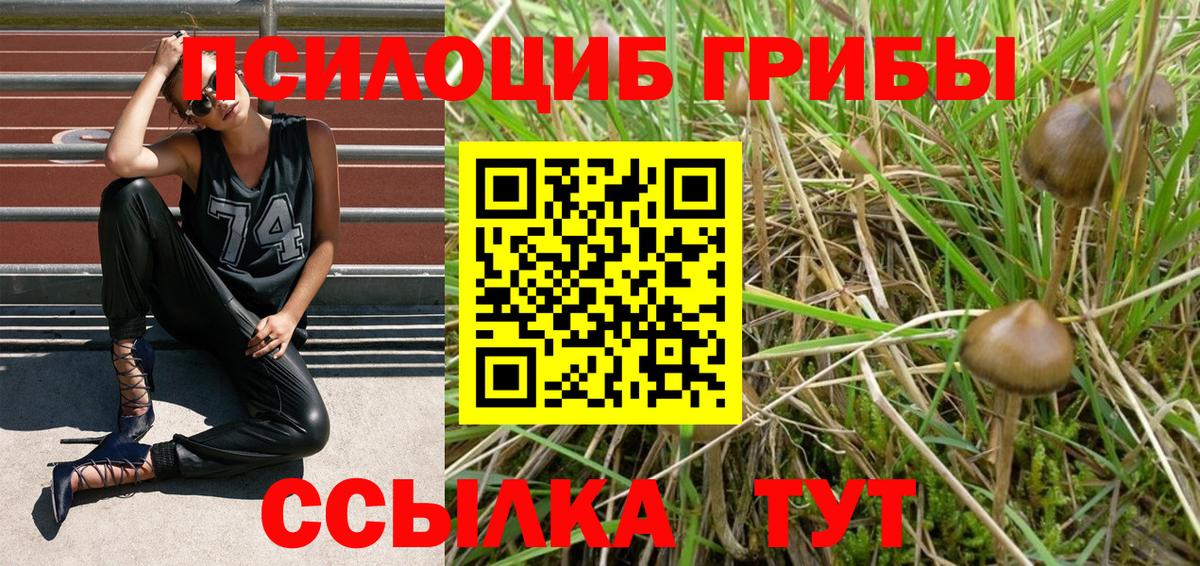 Феодосия  Галлюциногенные грибы MAGIC MUSHROOMS  Псилоцибиновые грибы мухоморы  Вход с VPN 